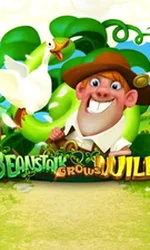 Beanstalk Grows Wild