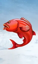 Ice Fishing